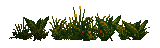Simple plant.png